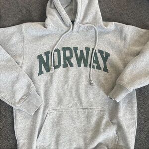 Brandy Melville Norway Hoodie